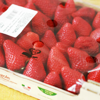 Fresas Sabores e Ideas Conad